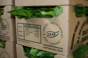 Leaf Marque Box