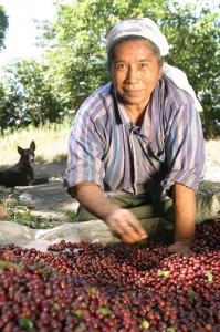 farmer