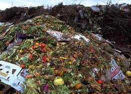 Food waste