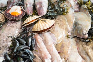 Overfishing in decline