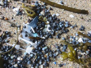 P22 Black Nurdles (Cornwall) Newquay Beachcombing (web) 200x200
