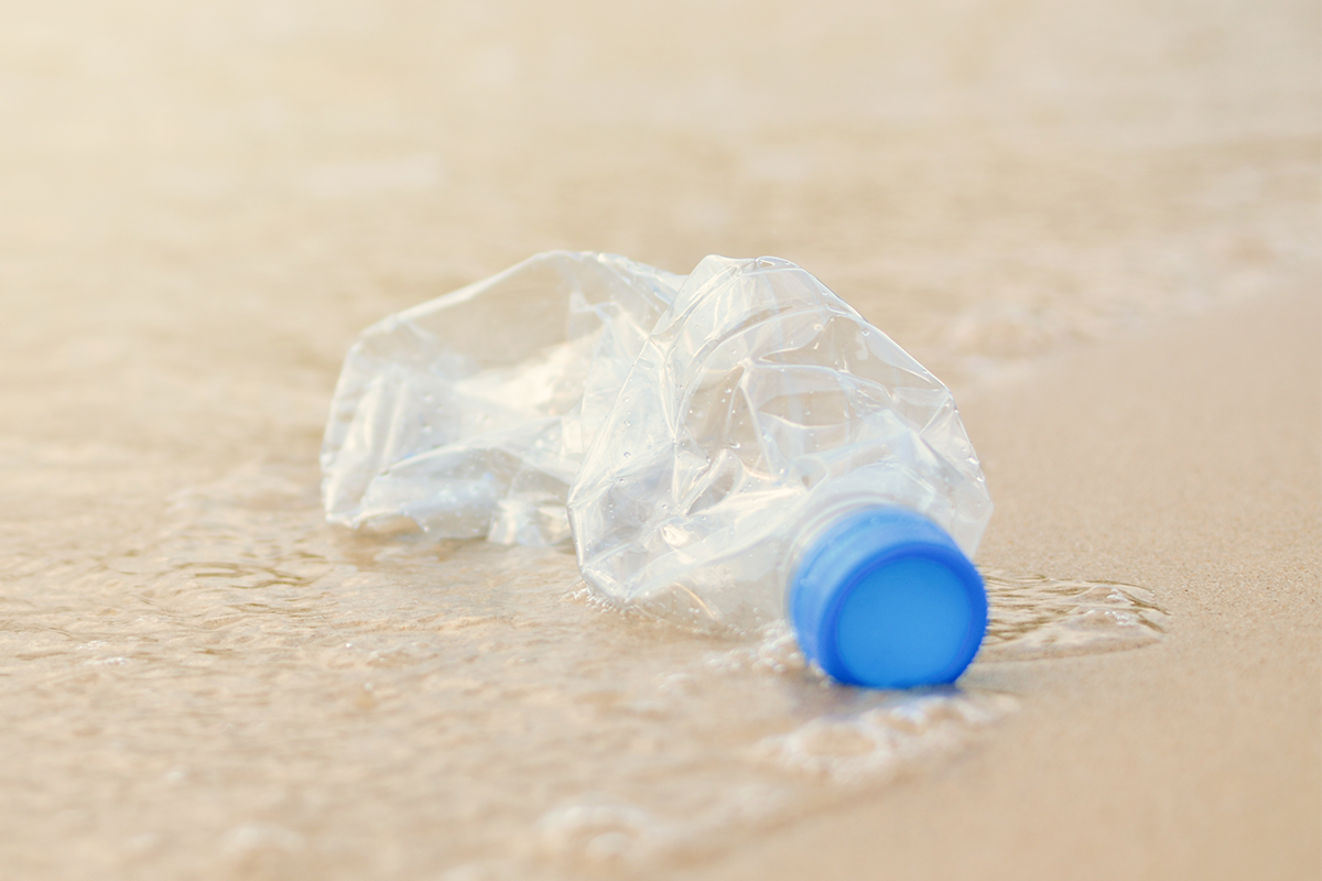 Scotland’s singleuse plastic bans fully effective from August