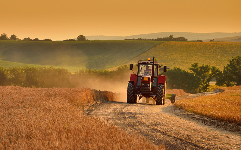 Foodservice Footprint Tractor2 Production, protection and prices: UK food policy is in a perilous state Out of Home News Analysis  news-email most-read email-news 